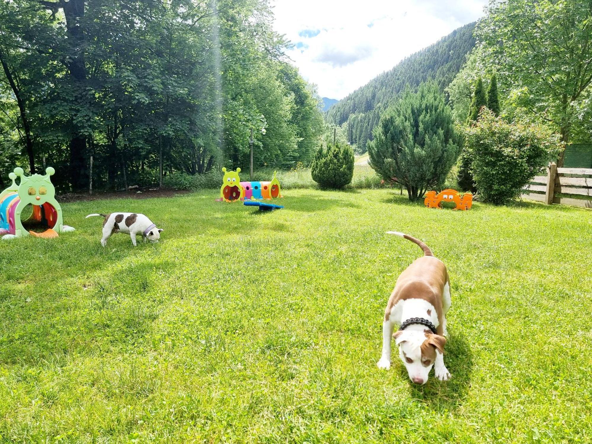 Adamello 3 Parque de Campismo Pinzolo