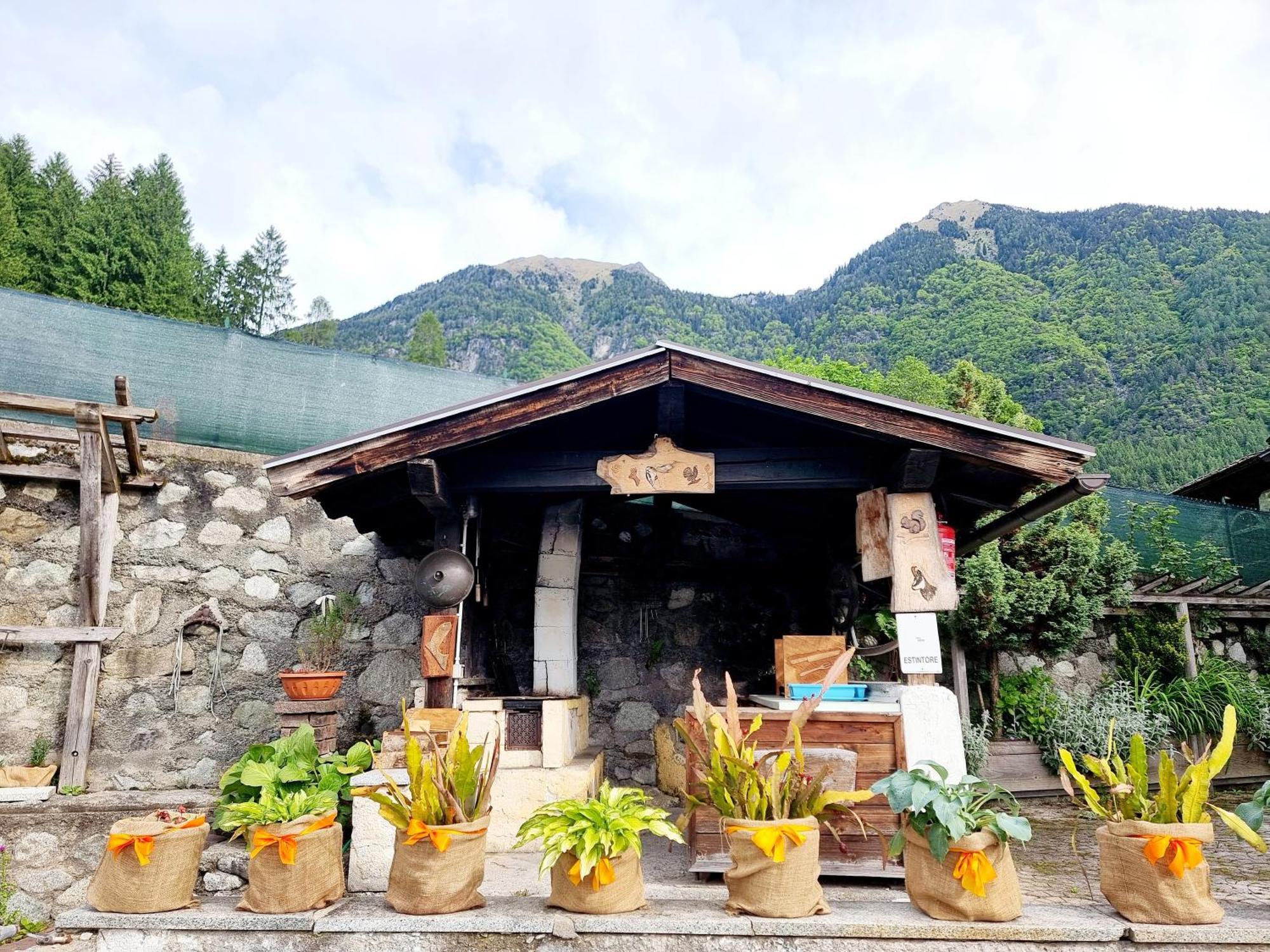 Adamello 3 Pinzolo